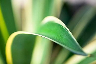 《禁闭求生2》太火爆 发售1小时Steam在线超1代峰值50%